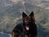 Ki-Shani